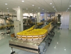 oil_line