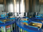 filling_orkide_oil_2